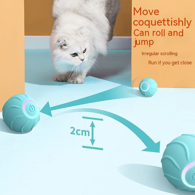 Interactive Motion Activated Rolling Ball Dog Toy