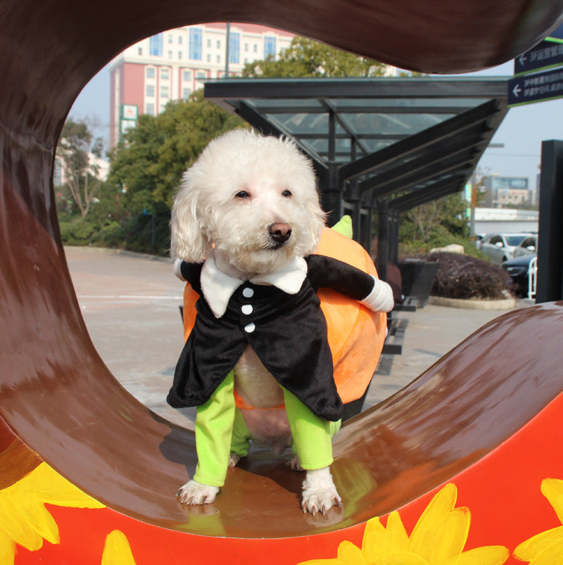 Dog Pumpkin Halloween Costume - SALE✨