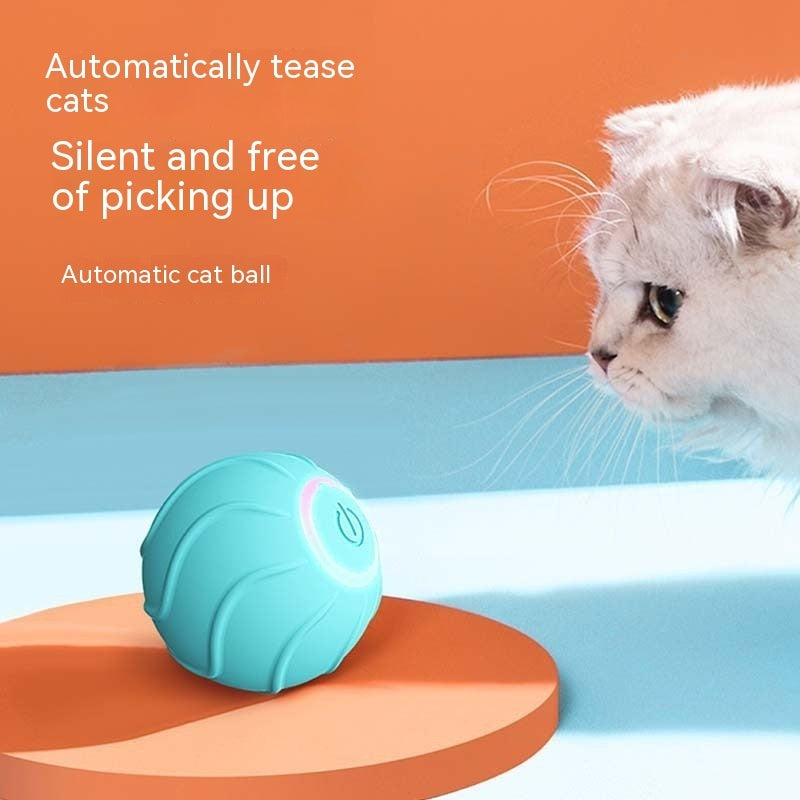 Interactive Motion Activated Rolling Ball Dog Toy