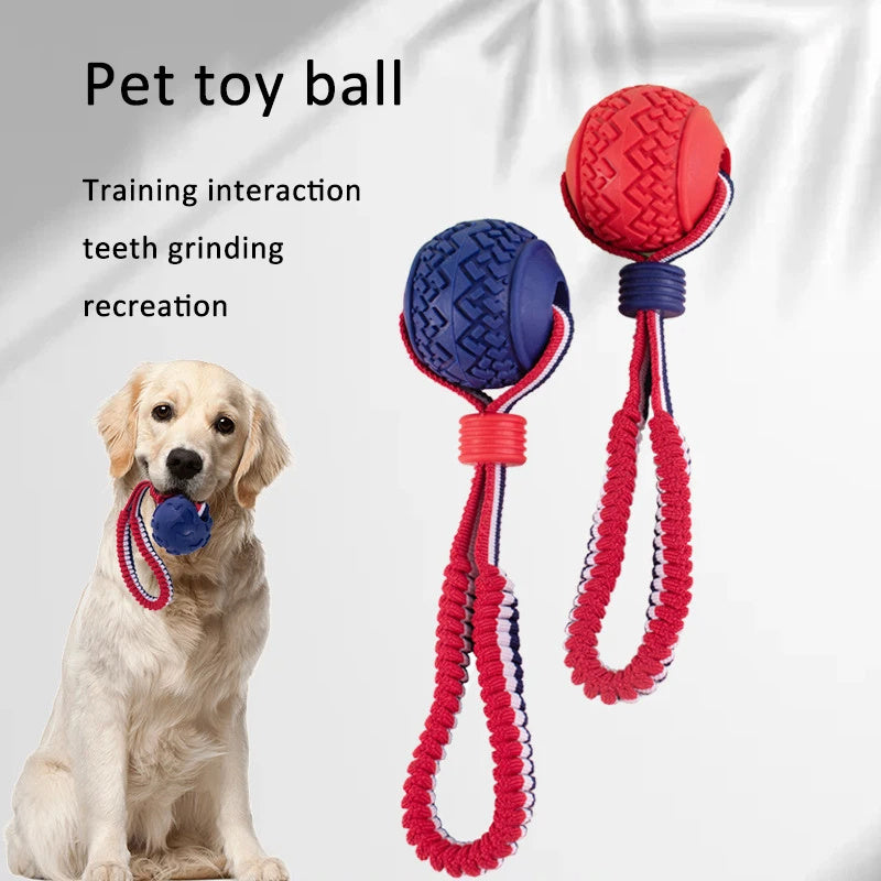 Rollraptor Interactive Pet Toy Ball