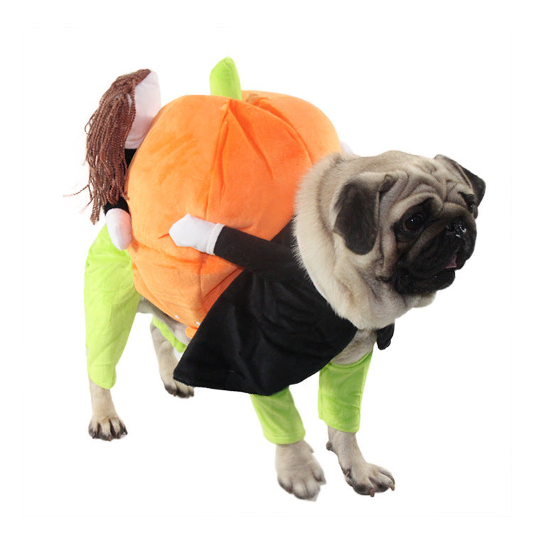Dog Pumpkin Halloween Costume - SALE✨