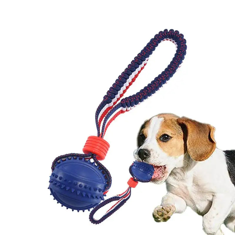 Rollraptor Interactive Pet Toy Ball