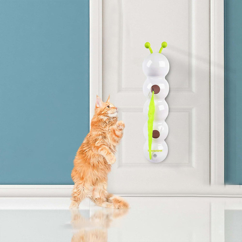 Smart Motion Cat Toy With Worm Design