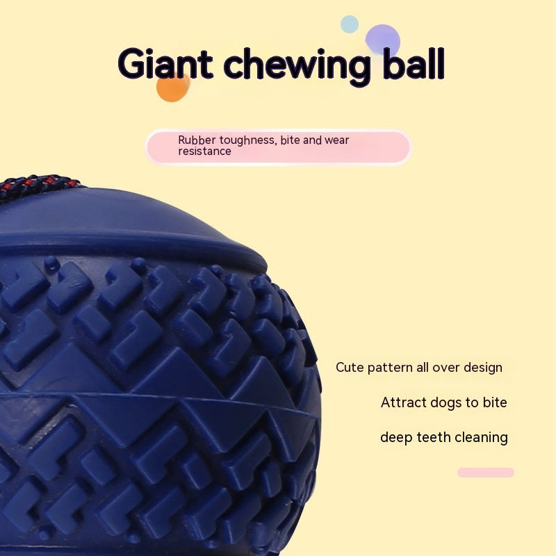 Rollraptor Interactive Pet Toy Ball