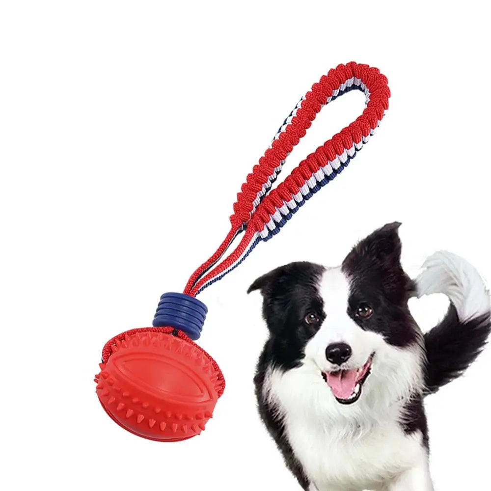 Rollraptor Interactive Pet Toy Ball