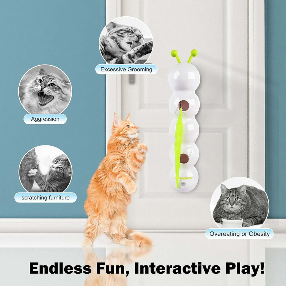 Smart Motion Cat Toy With Worm Design