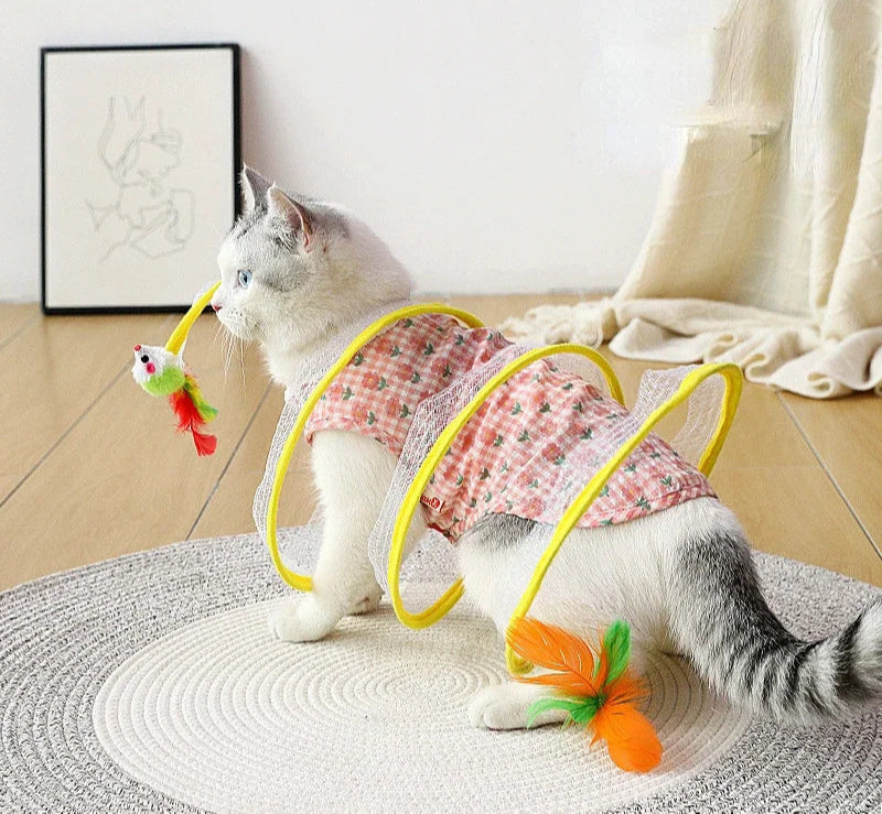 Self Play Cat Hunting Spiral Tunnel Toy