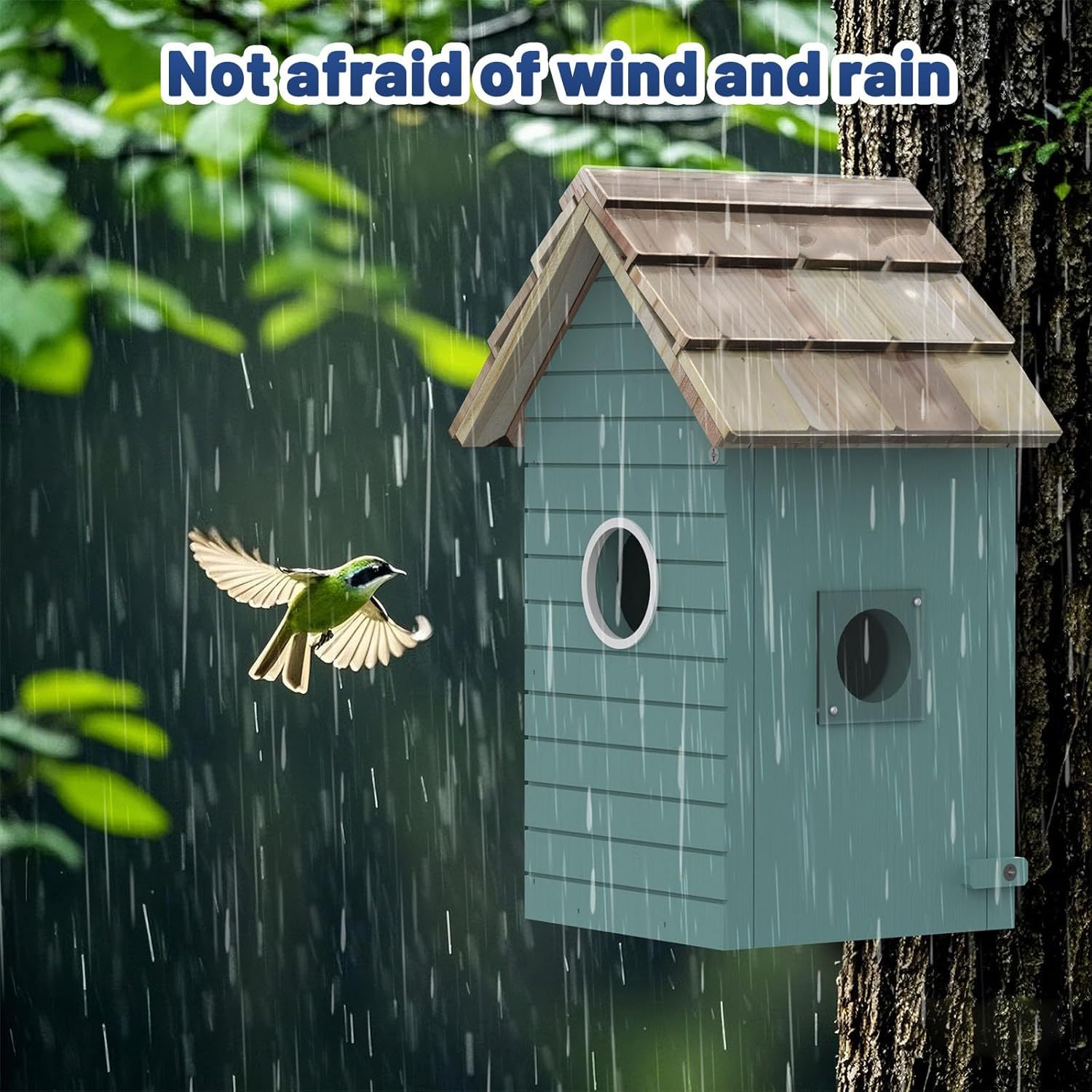 Smart Bird House, Bird Feeder With Camera