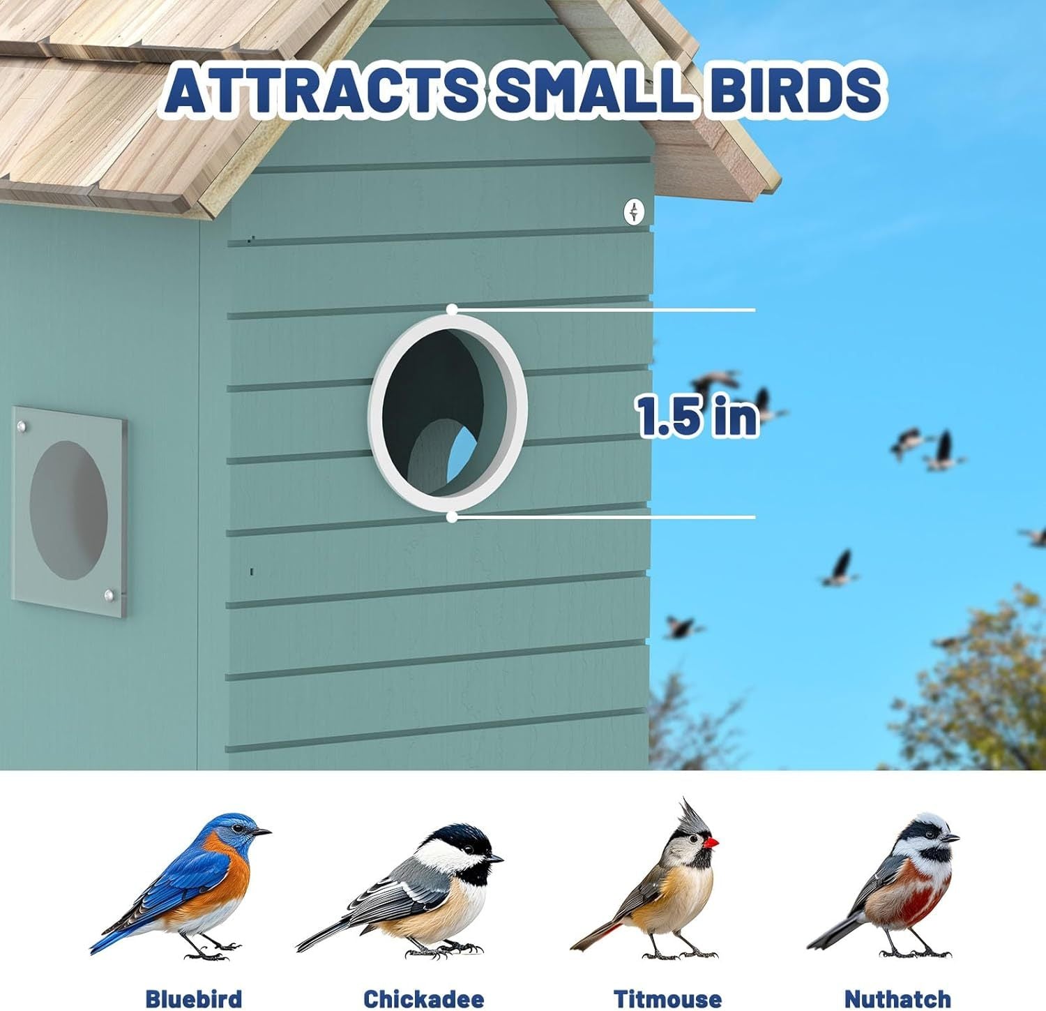 Smart Bird House, Bird Feeder With Camera