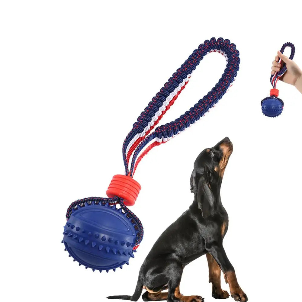Rollraptor Interactive Pet Toy Ball